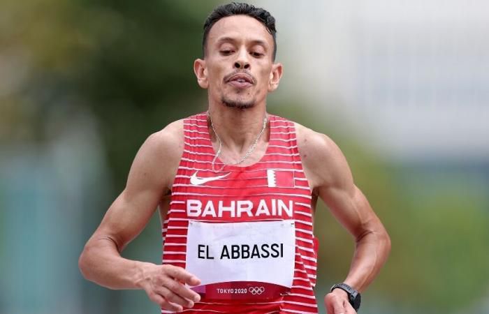 免费版网站