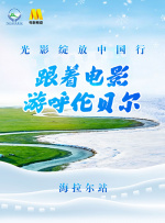 国内外一级毛片