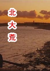 男艹女视频